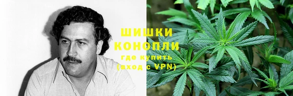 бошки Надым