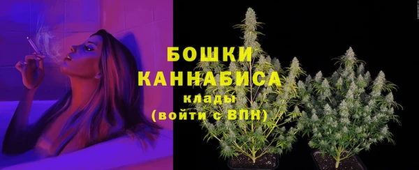 бошки Надым