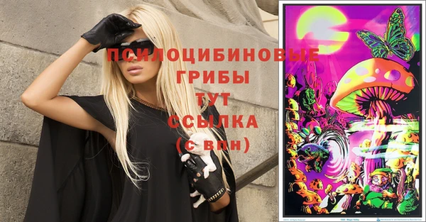 бошки Надым