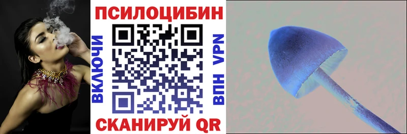 Купить где  Суздаль  Псилоцибиновые грибы прущие грибы 